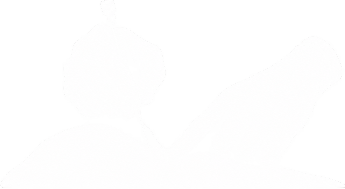 Cấy chỉ